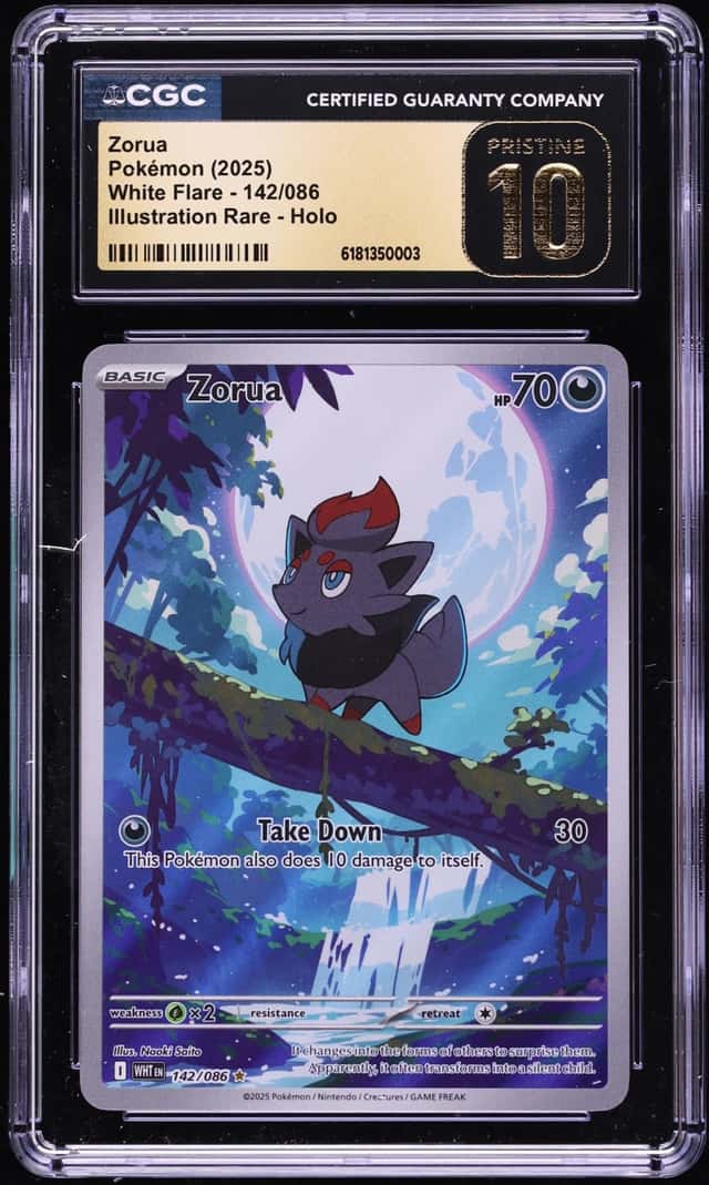 Zorua