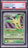 Leafeon Lv X
