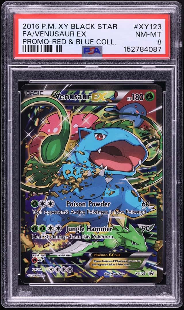 Venusaur EX