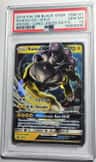 Raikou Gx