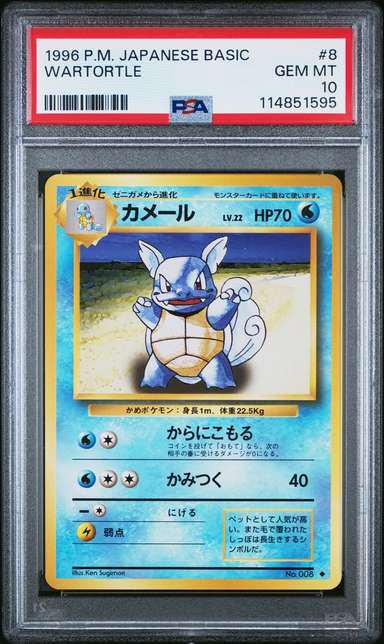 Wartortle