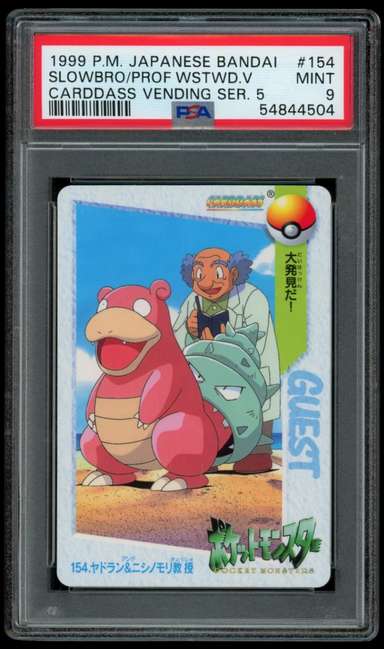 SLOWBRO/PROF.WSTWD.V