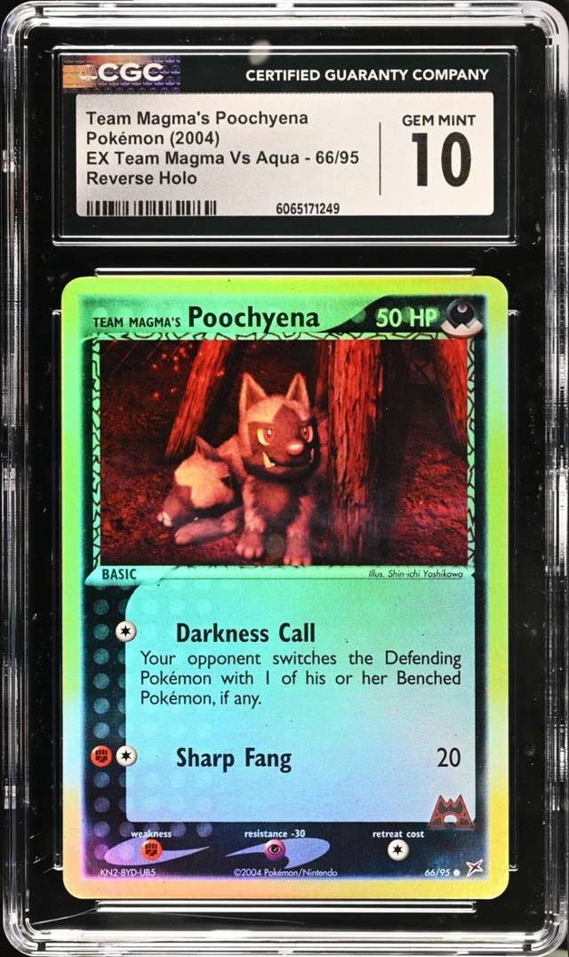 Team Magma's Poochyena