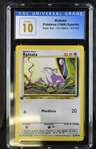 Rattata