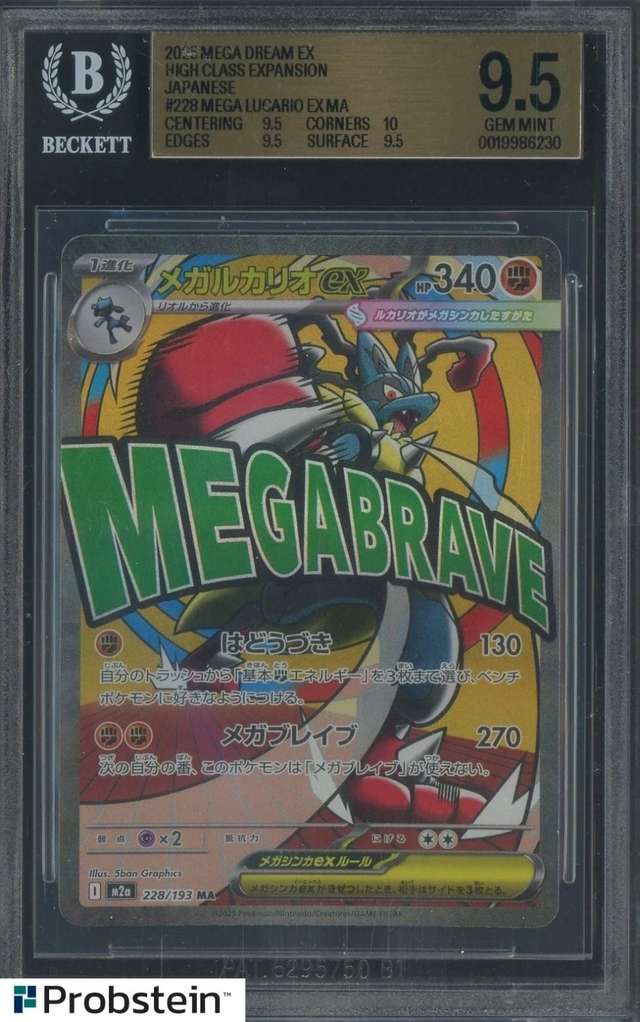 MEGA LUCARIO ex