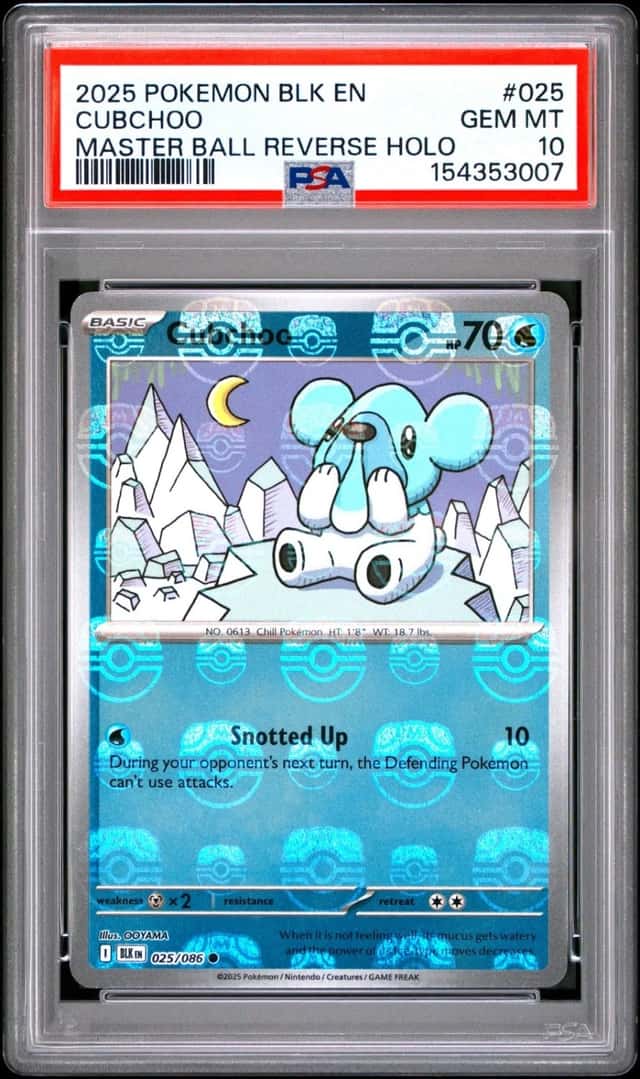 Cubchoo