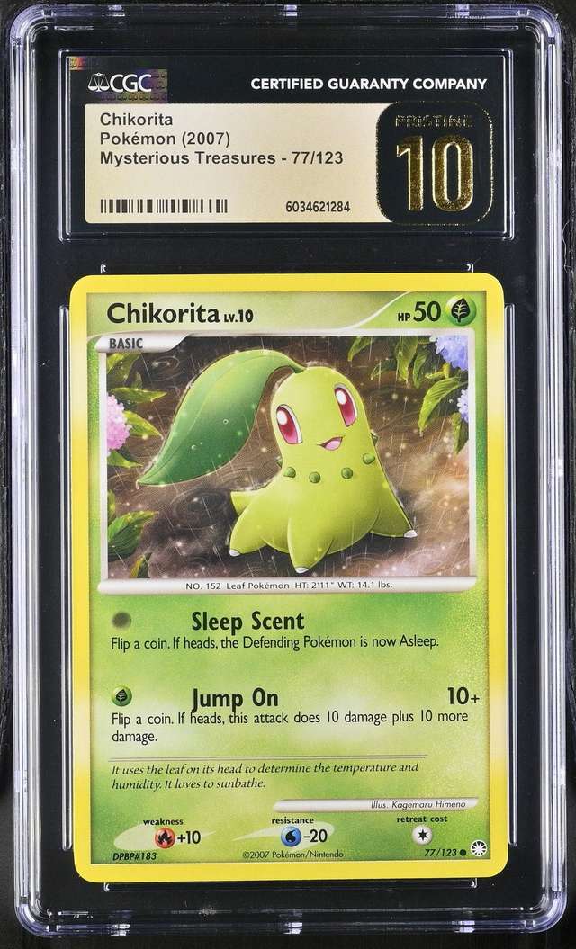 Chikorita