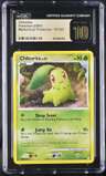 Chikorita