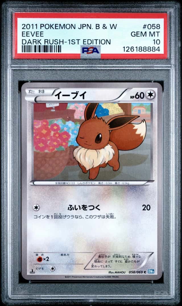 Eevee