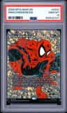 Arachnogenesis