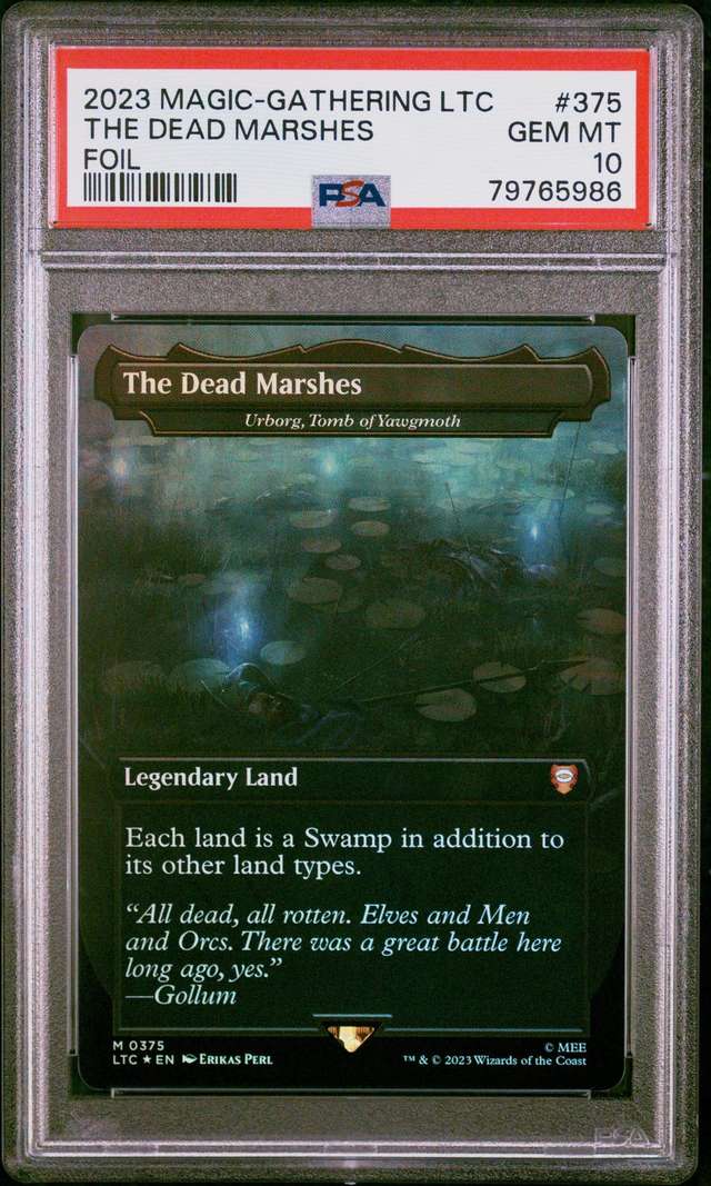The Dead Marshes