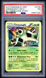 Chesnaught