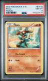 Riolu