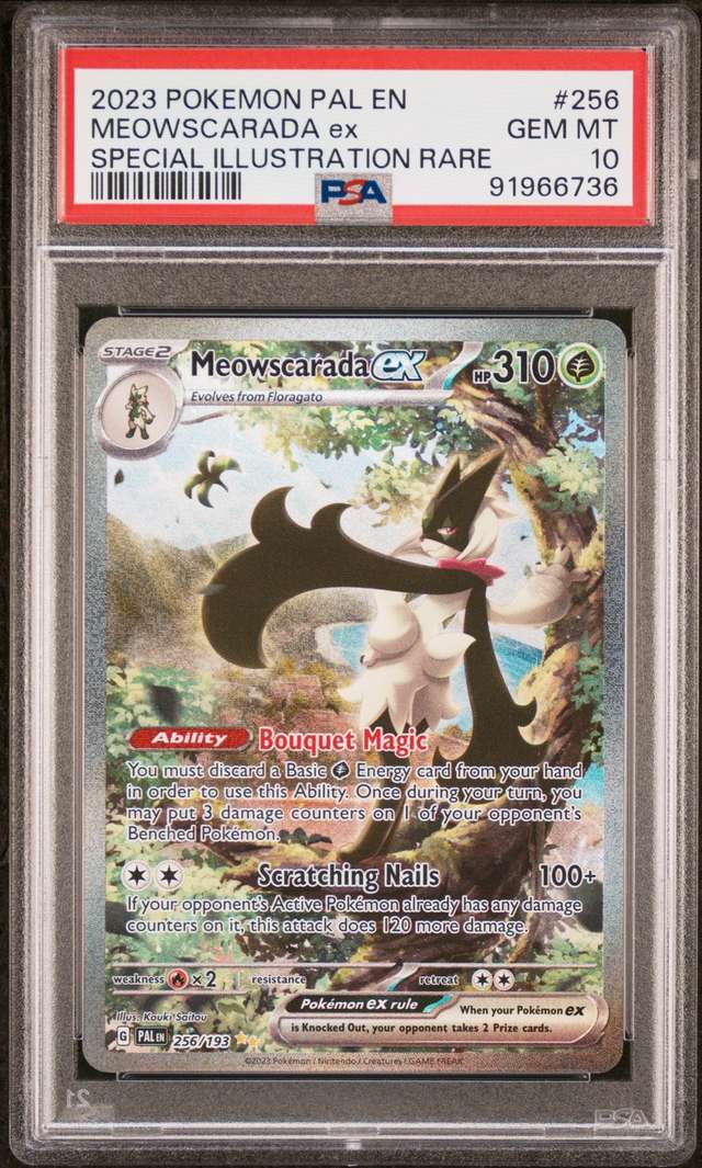 MEOWSCARADA ex