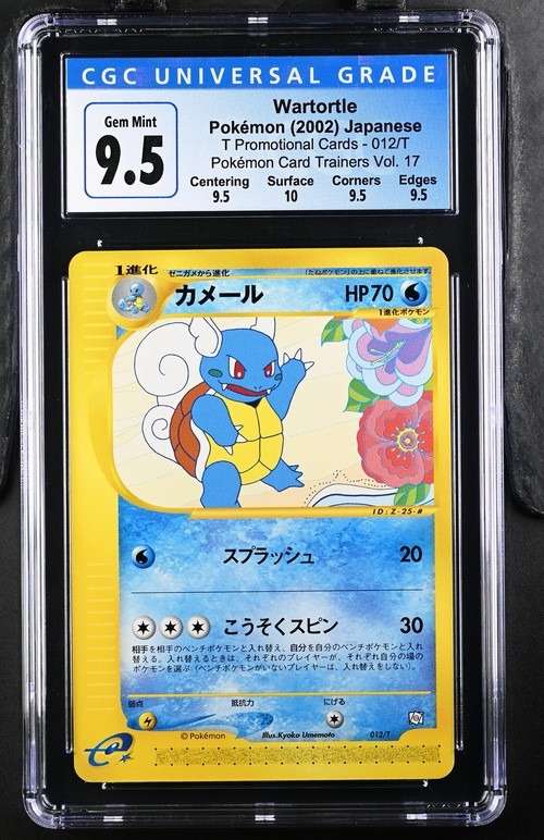 Wartortle