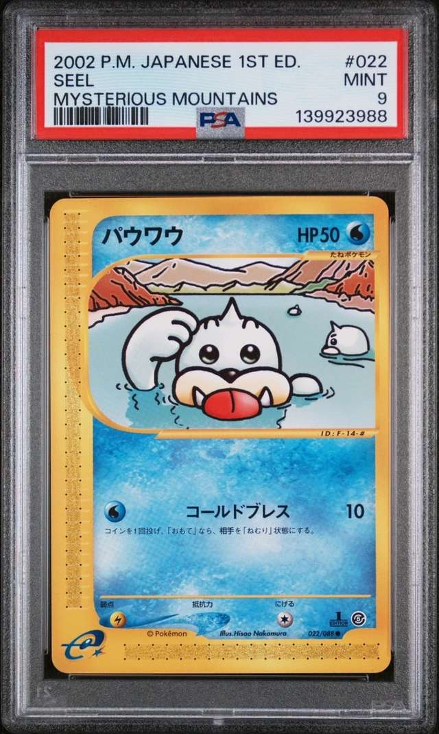 Seel