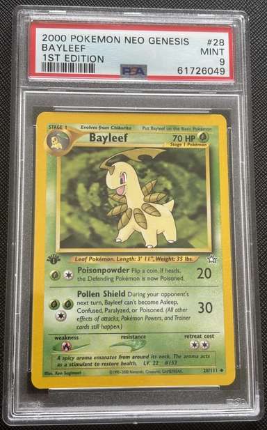 Bayleef