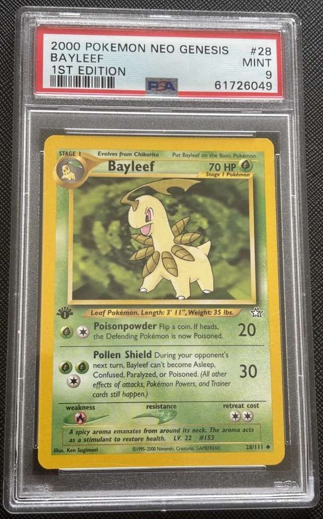 Bayleef