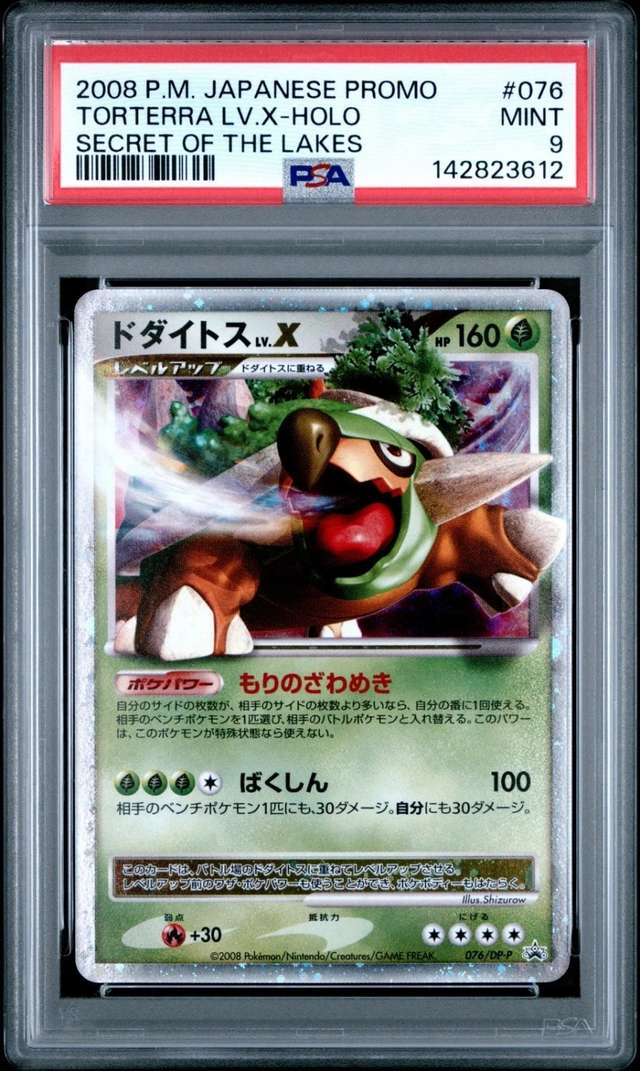 TORTERRA LV.X