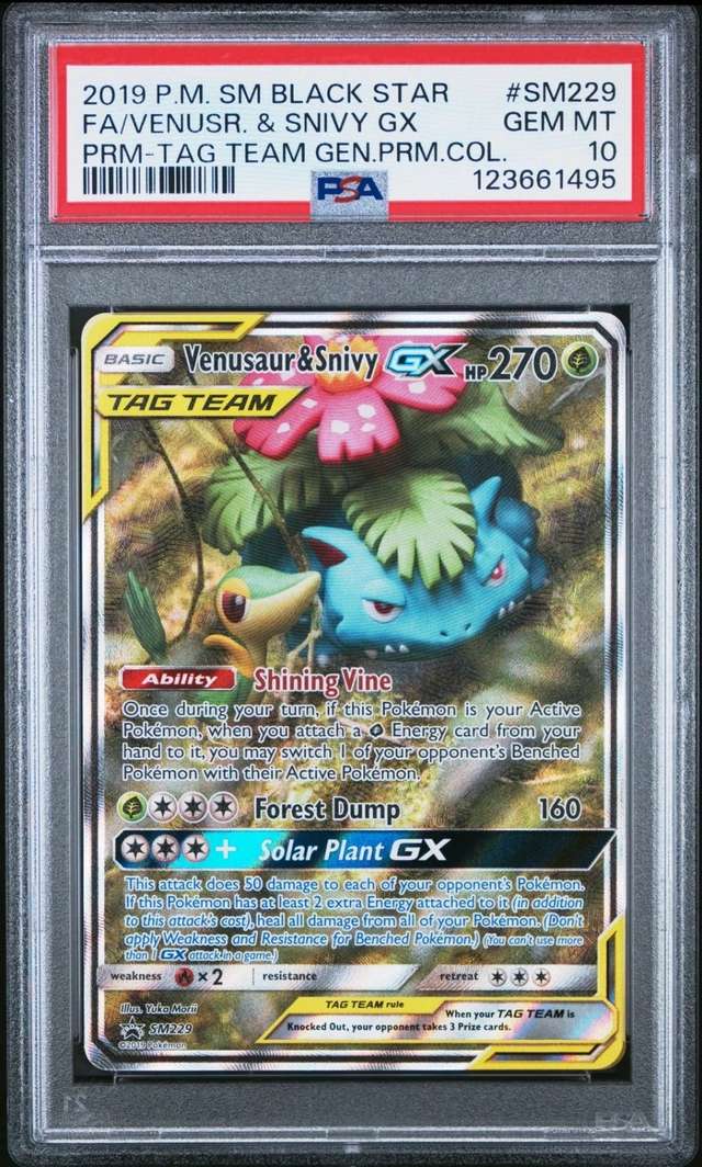 Venusaur & Snivy GX