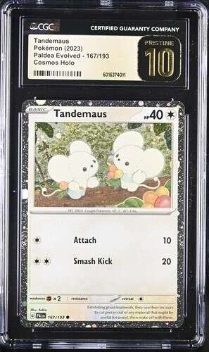 TANDEMAUS