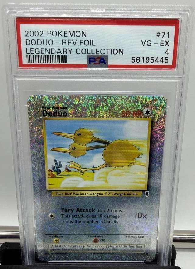 Doduo C