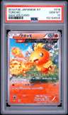 Torchic