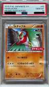 Hawlucha