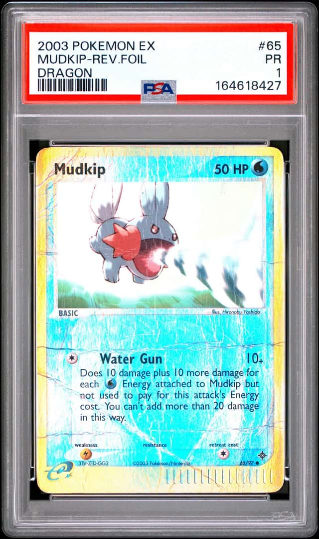 Mudkip