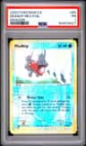 Mudkip