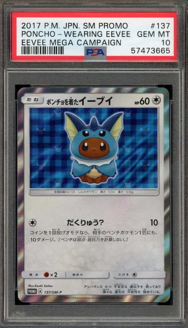 Poncho-wearing Eevee