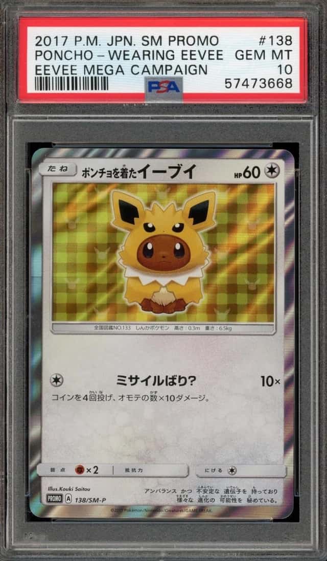 Poncho-wearing Eevee