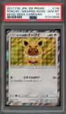 Poncho-Wearing Eevee