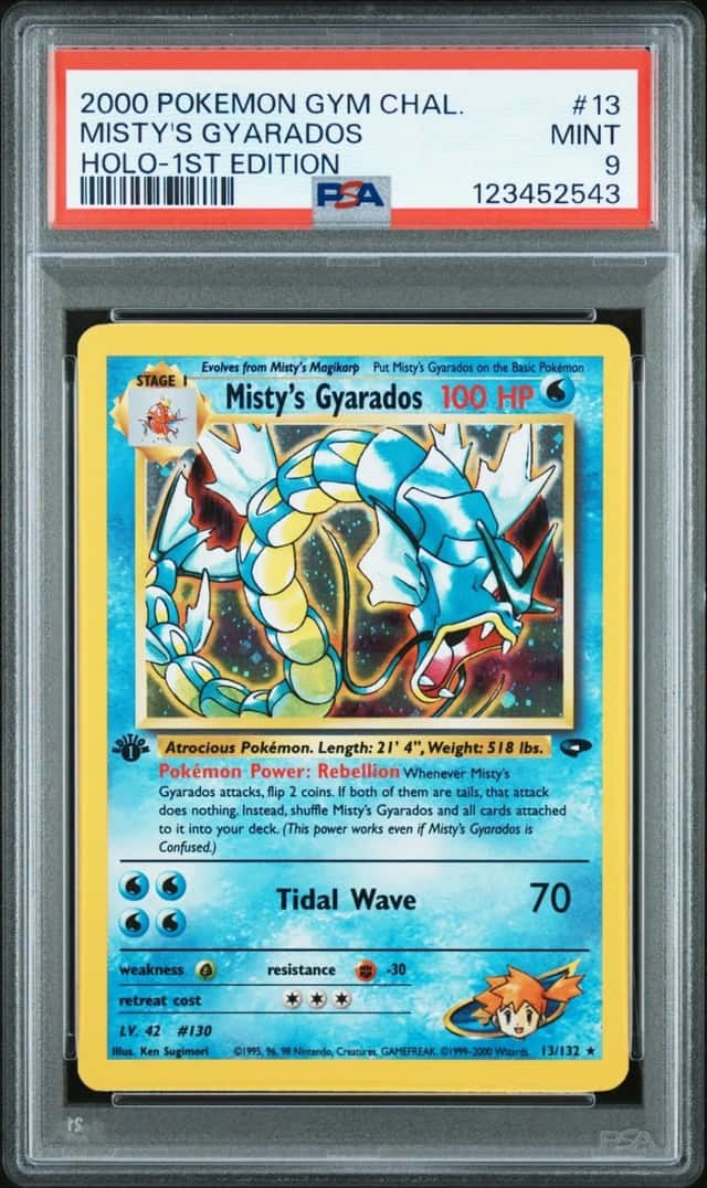 Misty's Gyarados
