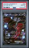 Fa/yveltal Ex