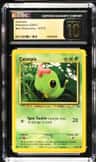 Caterpie