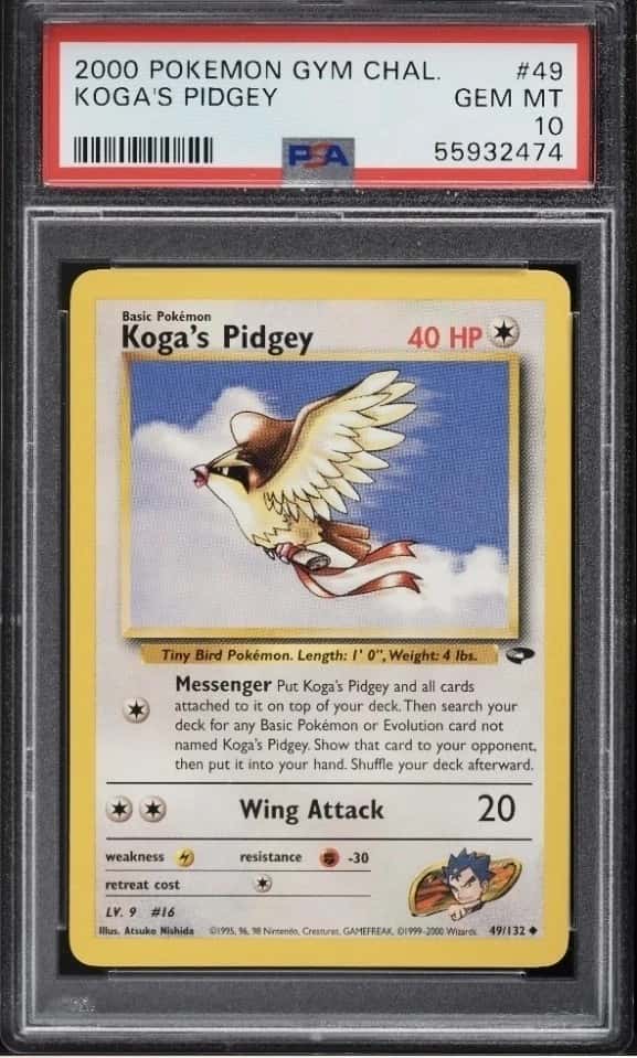 KOGA'S PIDGEY