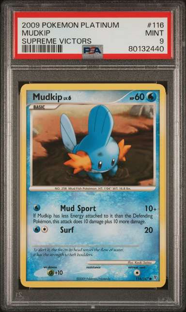Mudkip