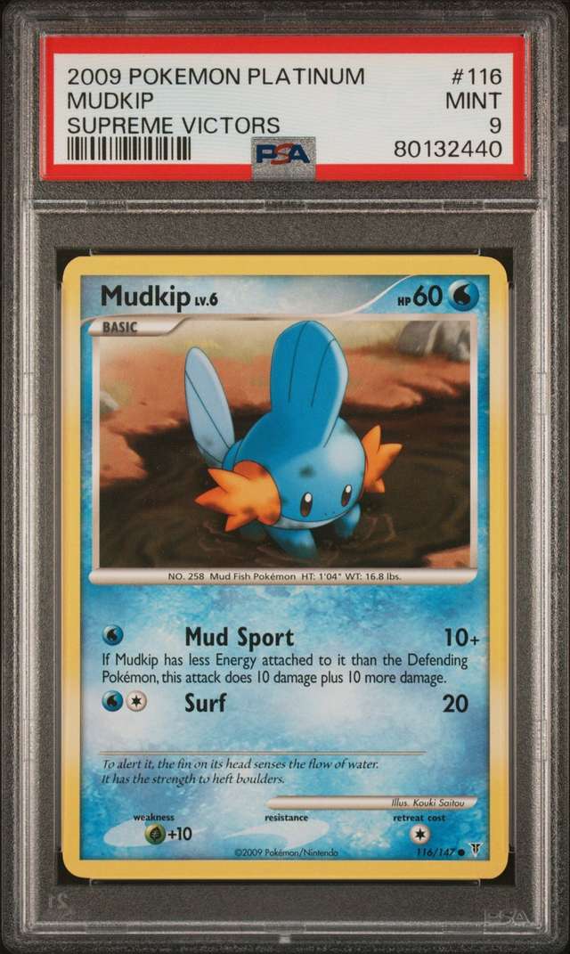 Mudkip