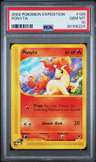 Ponyta