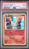 Ponyta