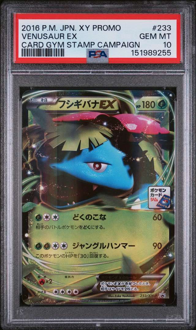 Venusaur EX