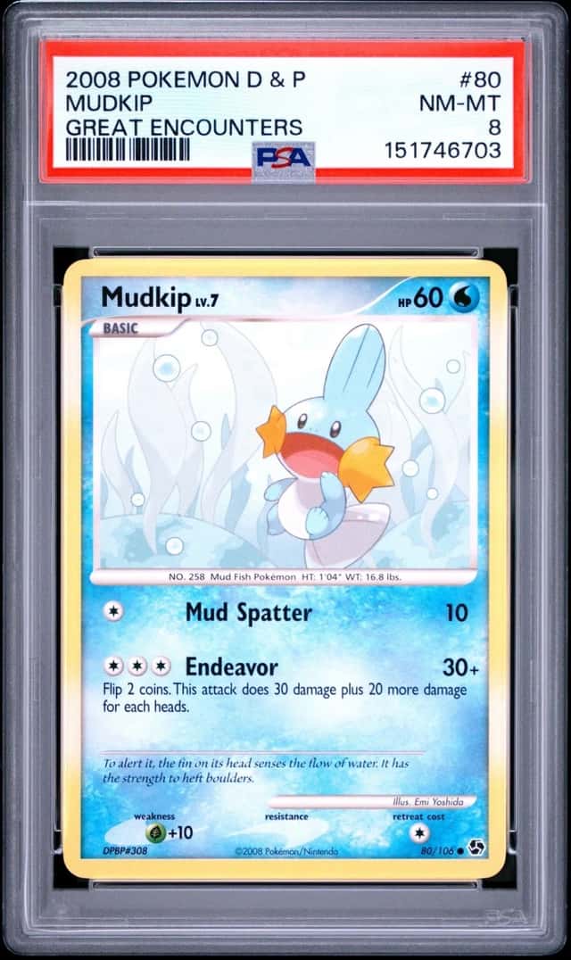MUDKIP