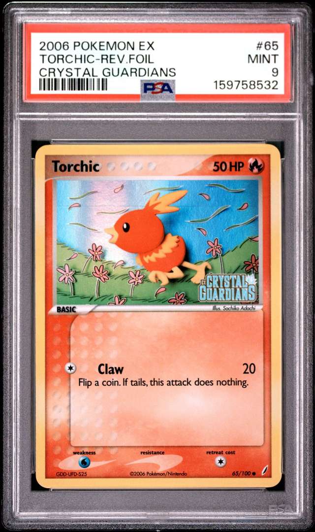 Torchic C