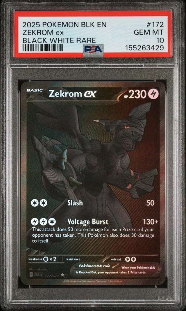 ZEKROM ex