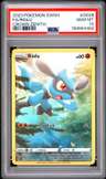 Riolu