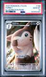 Furret