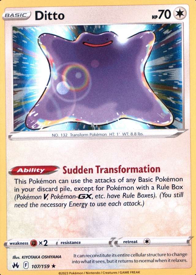 Holo