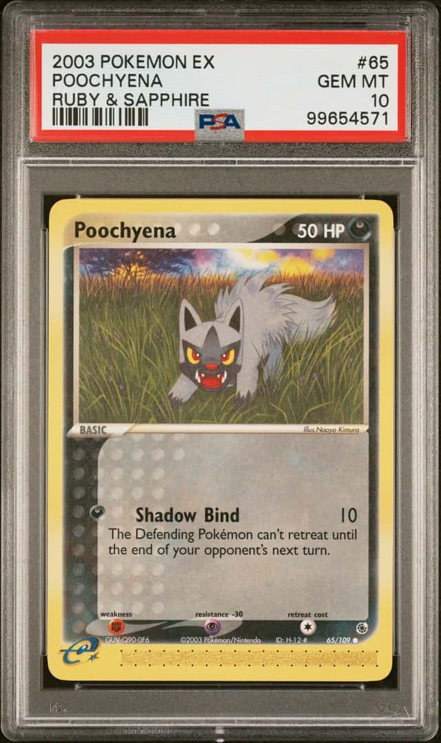 POOCHYENA