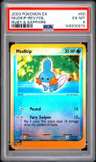 Mudkip